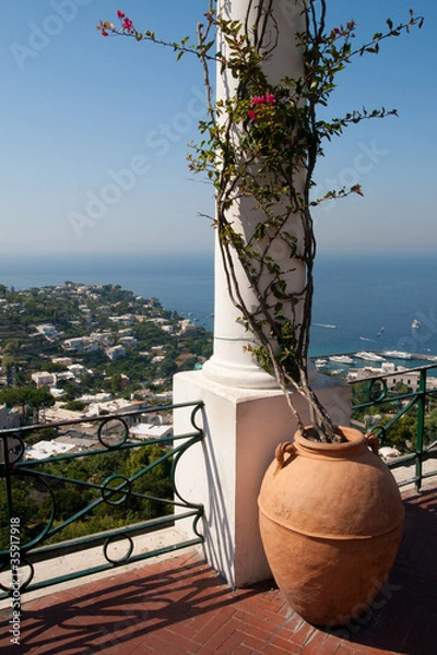 Obraz Terrazza di Capri