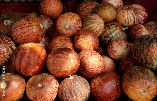 Fototapeta vegetables 