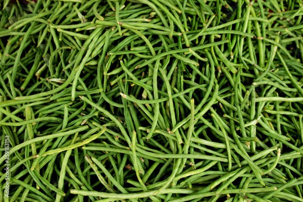 Fototapeta vegetables 