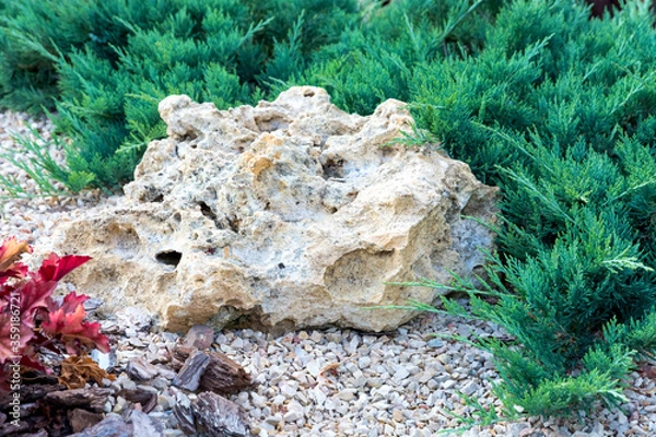 Obraz Landscaping with stone in the foreground and juniper.