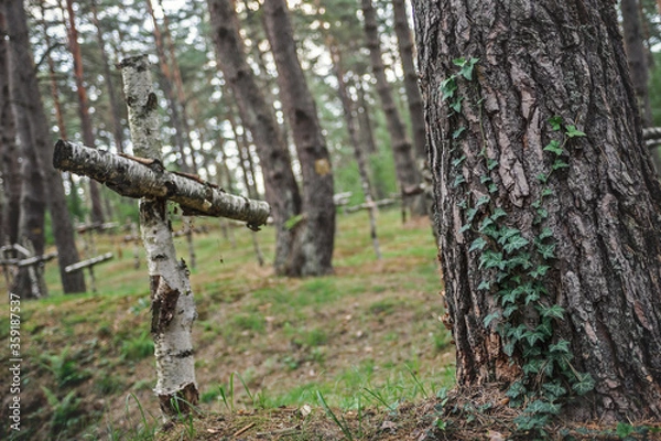 Obraz Wojskowy cmentarz