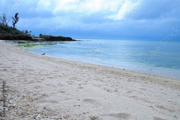 Fototapeta 青い海のある砂浜