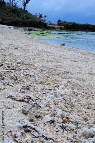 Fototapeta 海と砂浜