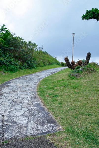 Fototapeta 石の道