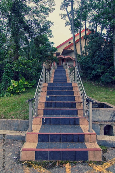 Fototapeta A strairway accross the bushes and tree towards the a building on the hill
