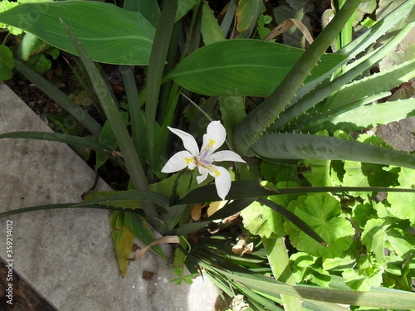 Obraz <SAMSUNG DIGITAL CAMERA>