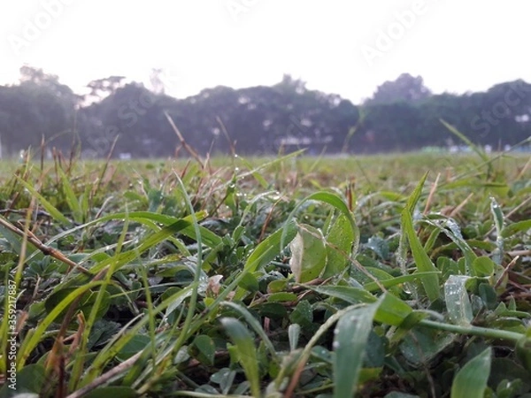 Fototapeta play Ground