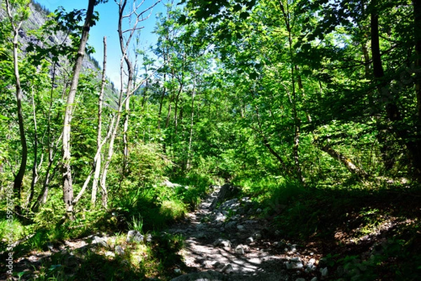 Obraz Nationalpark