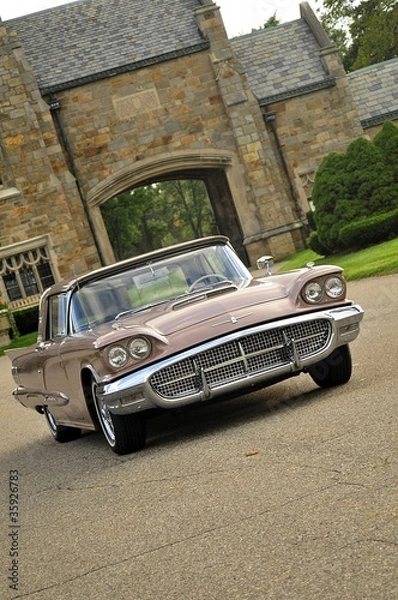 Obraz Thunderbird At The Estate