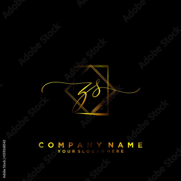 Fototapeta ZS Initial handwriting logo vector	
