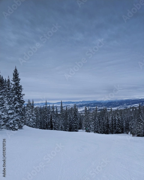 Obraz Winter Wonderland