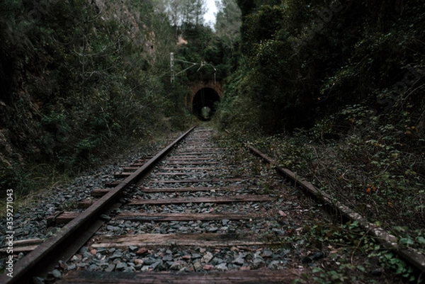 Fototapeta Rail road tracks. Track with rails for train in forest with green meadow on horizon. 