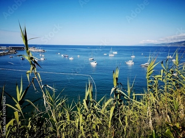 Fototapeta grass and sky
