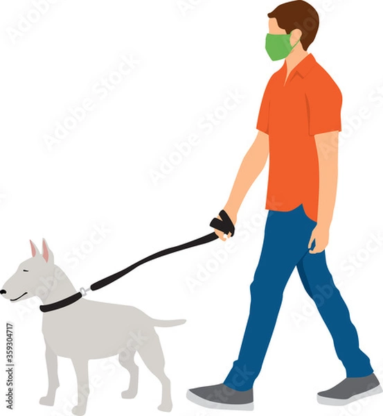 Fototapeta Young man walking dog wearing protective face mask COVID-19