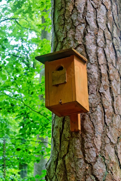 Fototapeta Wooden bird house (nestbox) on a tree