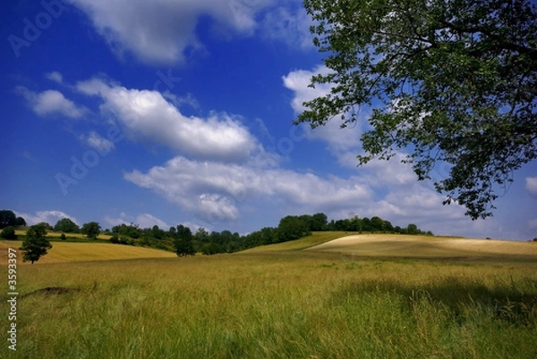 Fototapeta la campagne en été
