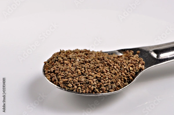 Fototapeta Celery seeds
