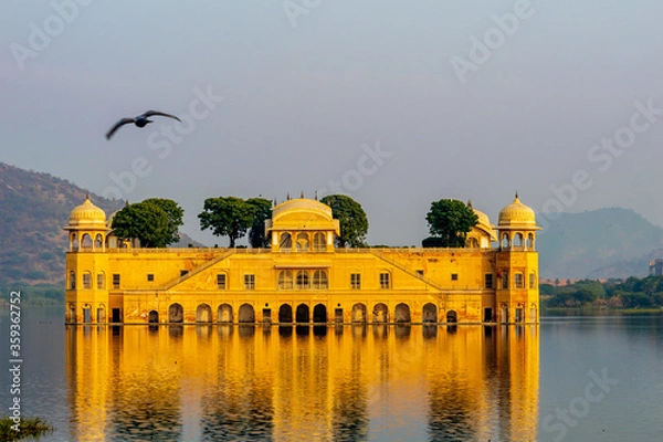Obraz The view of Jal Mahal with a bird flying , Jaipur, Rajasthan, India
