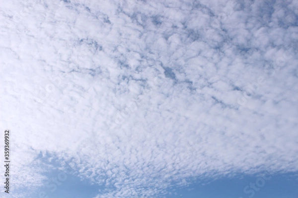 Fototapeta 空_0016_空と鱗雲