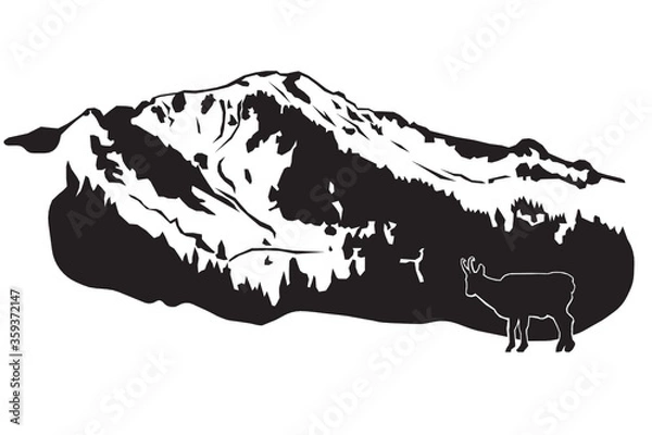 Obraz Hochgern mit Gams