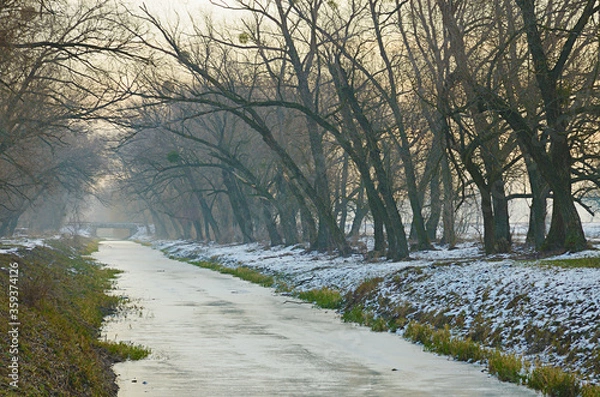 Fototapeta The frozen bed of a small river at the beginning of winter, on a foggy morning in December. Large old willow trees along the snow-strewn shore.