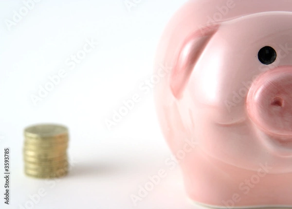 Fototapeta Saving for a rainy day - money next to a piggy bank