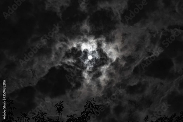 Obraz A shadow from the moon covers part of the sun against the backdrop of dramatically gray clouds and tree branches.