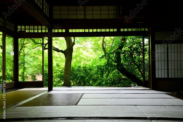 Obraz 和室から眺める新緑の日本庭園