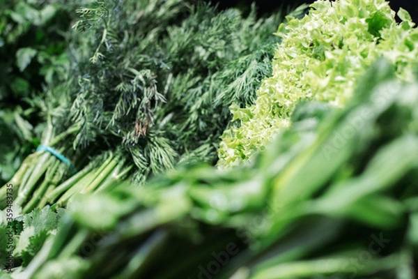 Fototapeta Assortment of greenery in grocery close-up. Green salad on shelf in supermarket. Healthful vegan food, vitamin seasonal eating, nutrition.