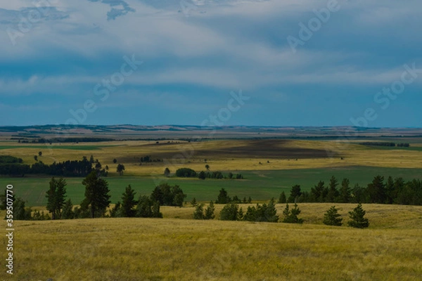 Fototapeta landscape with trees