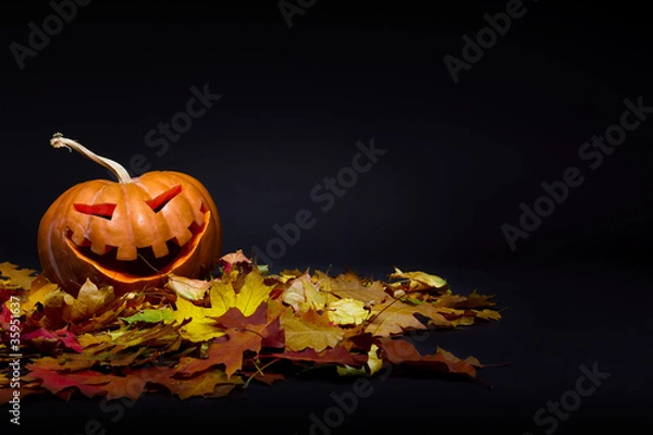 Obraz Halloween pumpkin