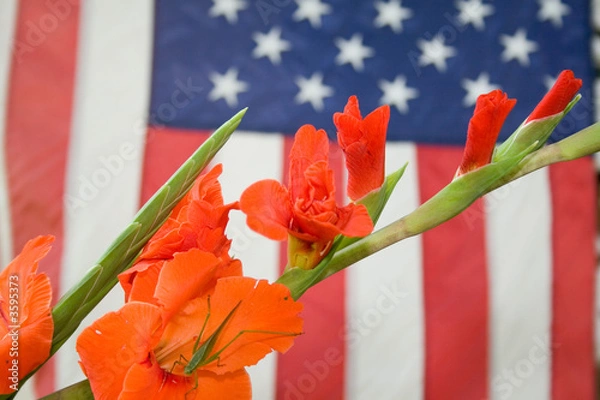 Obraz Grasshopper, Flower and American Flag
