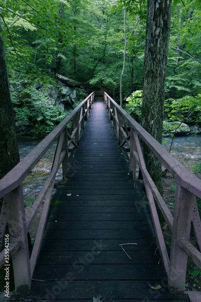 Fototapeta A slick narrow footbridge crosses a river in the riparian forest in the mountains.