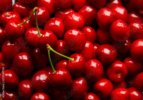 Obraz Sweet cherries as a background