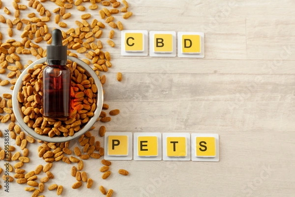 Fototapeta pet food in an iron bowl, on top is a jar of oil, word pet and CBD, wooden background, free space for text
