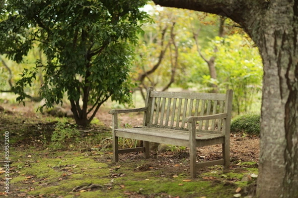 Obraz bench in the park