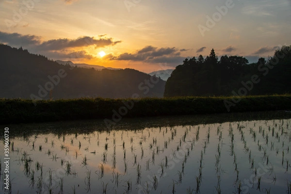 Obraz 朝日が美しい山間の田園地帯