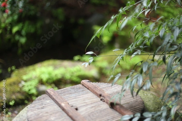 Fototapeta 白川郷