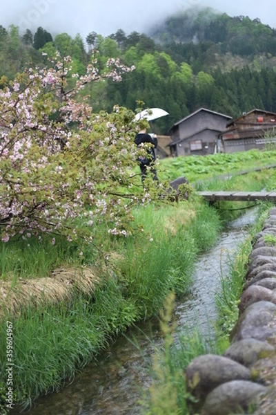 Fototapeta 白川郷