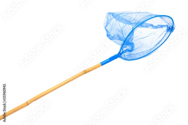 Obraz blue butterfly net