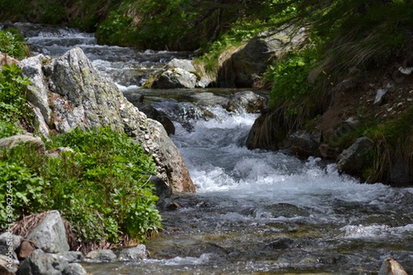 Obraz Mountain river