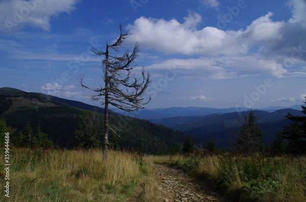 Obraz Beskid Żywiecki