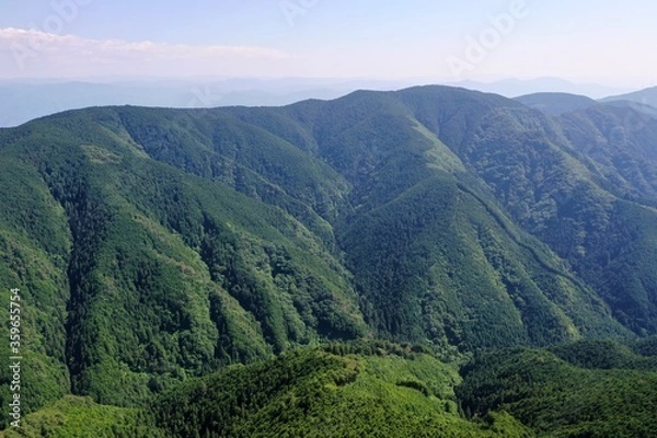 Fototapeta 日本の緑の山