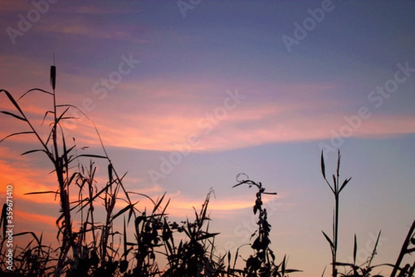 Obraz por do sol, Sunset