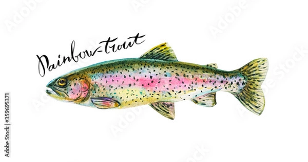 Obraz Rainbow trout