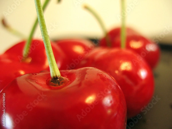 Obraz Ripe Cherries
