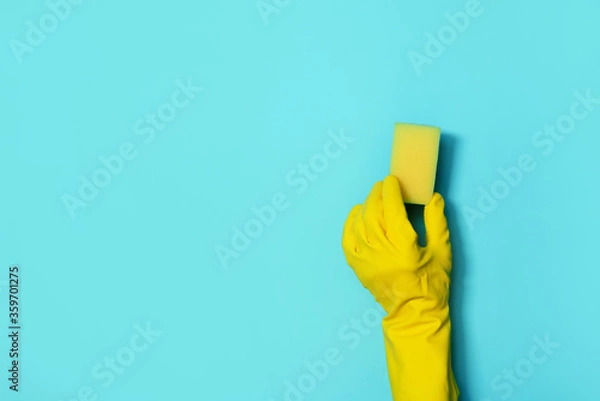 Obraz Hand in glove holding microfiber cleaning cloth, sponge on blue background. Copy space. Cleaning service concept. Spring general or regular clean up. Commercial cleaning company concept.
