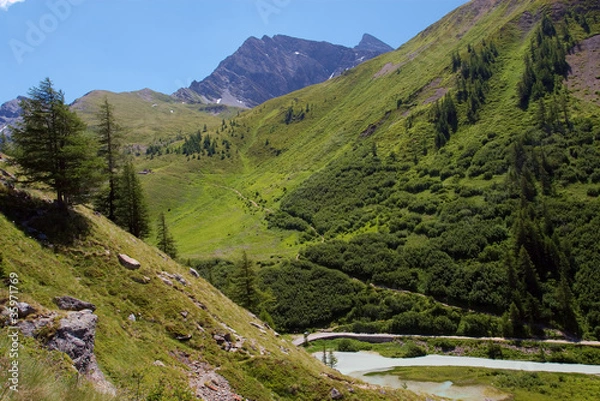 Obraz alpejska dolina