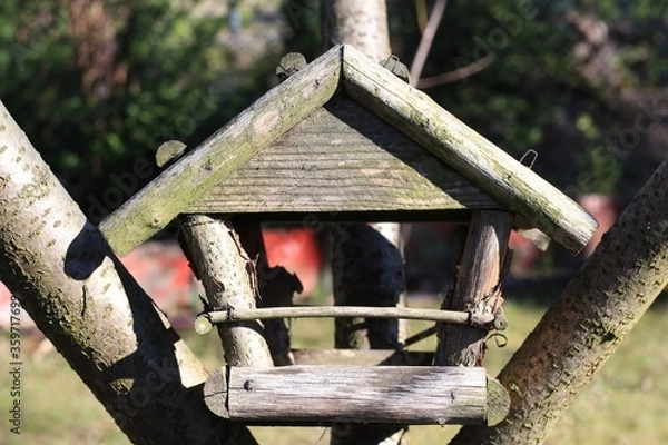 Obraz Karmnik dla ptaków