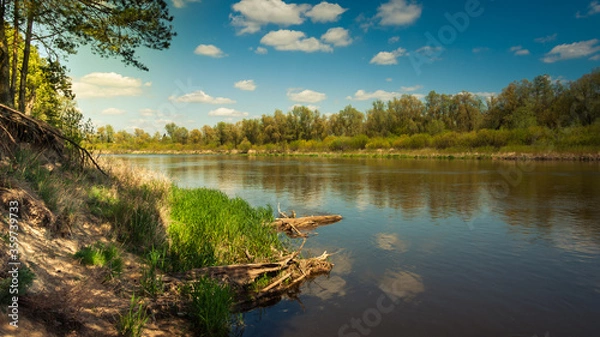 Obraz Dolina rzeki Bug 